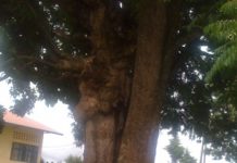 Buryenda n’est plus, Karyenda non plus. Une perte ?