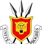 Une vingtaine de militaires révoqués de l’armée nationale