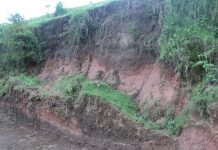La région de Muguruka perd 16.300.000 tonnes de terre par an à cause de l’érosion