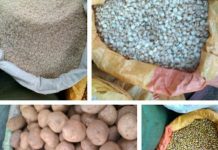 Bubanza: chute des prix des produits alimentaires