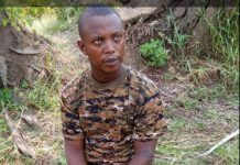Un officier de la FDN kidnappé dans la réserve naturelle de Rukoko