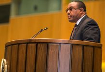 L’avenir de l’Afrique est aux mains des Africains, dit Desalegn