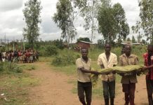 Bubanza, un écolier tué par une grenade dans les enceintes de l’école