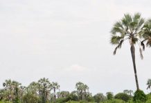 Les pillages nocturnes prennent de l’ampleur à Bubanza