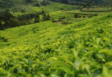 Bururi : Un vendredi meurtrier