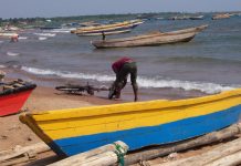 Le lac Tanganyika toujours sous menace de pollution