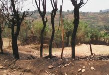 Mwaro : Des feux se déclarent sur une colline, l’administration communale nie les faits