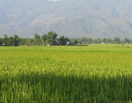 arton11990.jpg