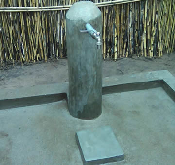 arton12457.jpg