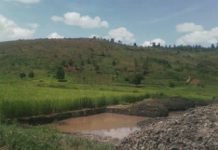 Muyinga : Non à l’exploitation anarchique des marais aménagés