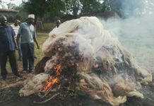Muyinga : La protection du lac Rweru , Slogan ou réalité