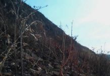Burundi: Les feux de brousses menacent les montagnes de la province Ruyigi