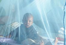 Burundi : Une campagne longtemps attendue pour une probable réduction de paludisme