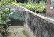 Musée Vivant , site intéressant au Burundi mais moins enrichi