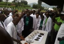 Office du Thé du Burundi lance une nouvelle ligne du thé vert