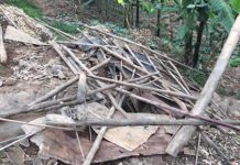 La destruction par des inconnus d’une cabane de vente des bananes à Mubimbi suscite une polémique politique