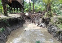 Environnement: La vie d’un hippopotame sauvée à Kabezi