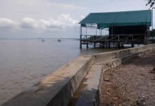 Des constructions au bord du Lac Tanganyika,quel avenir pour les amphibiens ?