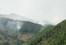 La réserve naturelle forestière de Vyanda en proie aux incendies