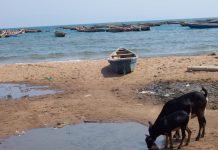 « Vaut mieux prévenir que guérir »