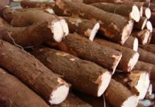 Floresta – Burundi : Une ONG pour mieux éduquer la population à lutter contre la faim