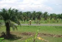 Bubanza : Insécurité dans les localités de Kajeke, Kagirigiri et Muyange