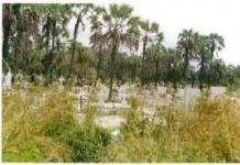 Le cimetière de Mpanda : Objet de convoitise