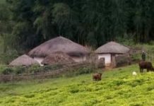 Etats Généraux sur l’agriculture oui, et les actes ?