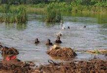 Lacs du nord : La population obligée de laisser le lac respirer un peu