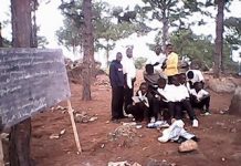 Muyinga/ Incroyable mais vrai : Un boisement sert de classe