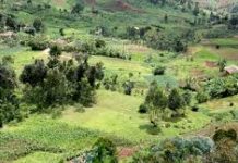 Arrêté, un jeune homme témoigne son retour de Kiliba Ondes