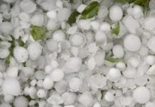 Cibitoke : Des champs dévastés par une pluie mêlée de grêle