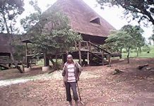Parc de Ruvubu/Des millions de Fr. Bu perdus en plein forêt