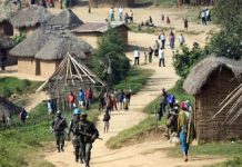 Les rebelles ” FNL ” neutralisés à l’Est de la RDC