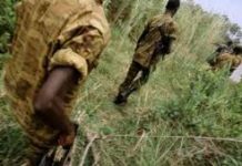 Nzabampema et les siens ‘’seraient loin de se rendre’’