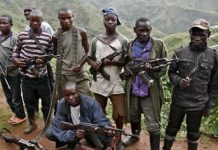 Le problème des FDLR toujours réel à l’Est de la RDC
