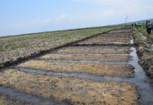 Bubanza : Bientôt la reconstruction du barrage hydro-agricole