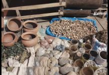 Médecine traditionnelle : dangereuse ou efficace ?