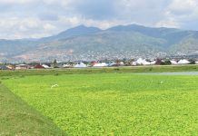 Burundi : « un chef de zone n’a pas de mandat déterminé »