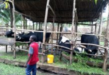 Umuyange du 24 Mai 2021