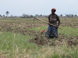 Les femmes rurales du Burundi en première ligne pour protéger l’environnement